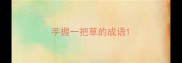 手握一把草的成语