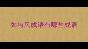 如与风成语有哪些成语
