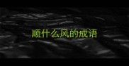 顺什么风的成语