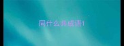 同什么共成语