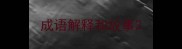 成语解释和故事