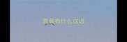 青黄有什么成语
