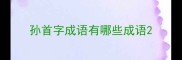 孙首字成语有哪些成语