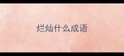 烂灿什么成语