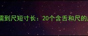舌战群儒到尺短寸长20个含舌和尺的成语全