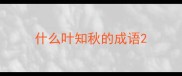 什么叶知秋的成语
