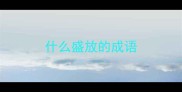 什么盛放的成语