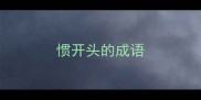 惯开头的成语