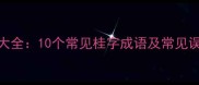 桂字成语大全10个常见桂字成语及常见误区与用法