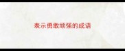 表示勇敢顽强的成语