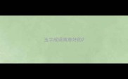 玉字成语寓意好的
