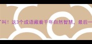鸟语花香知了叫这3个成语藏着千年自然智慧最后一个太妙了