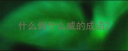 什么假什么威的成语