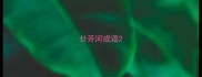 廿开河成语
