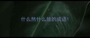 什么然什么放的成语
