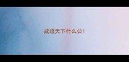 成语天下什么公