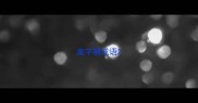 皇字猜成语