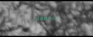 成语锋开头