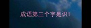 成语第三个字是识