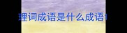 理词成语是什么成语