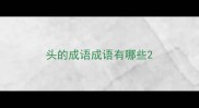 头的成语成语有哪些