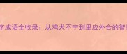 邻字四字成语全收录从鸡犬不宁到里应外合的智慧密码