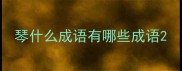 琴什么成语有哪些成语
