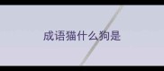 成语猫什么狗是