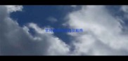 常用的四字成语及解释