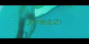泥字猜成语