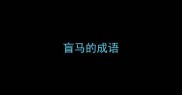 盲马的成语
