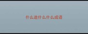 什么途什么什么成语