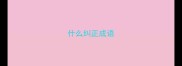 什么纠正成语