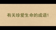 有关珍爱生命的成语