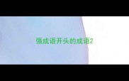 强成语开头的成语