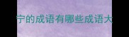 宁的成语有哪些成语大