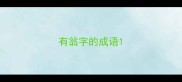 有翁字的成语
