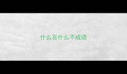 什么言什么不成语