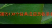斑驳陆离成语色彩斑斓的108个经典成语及收录量统计附文学出处