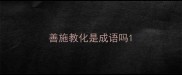 善施教化是成语吗