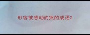 形容被感动的哭的成语