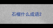石榴什么成语