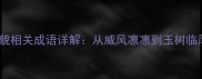 10个最经典英雄外貌相关成语详解从威风凛凛到玉树临风的完美形象构建