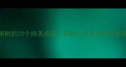 形容柳树的20个绝美成语美到心坎里的诗意栖居指南