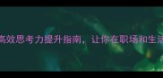 善思而行高效思考力提升指南让你在职场和生活中脱颖而出