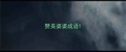 赞美婆婆成语