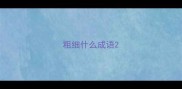 粗细什么成语