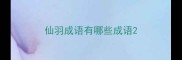 仙羽成语有哪些成语