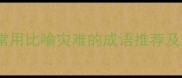 10个常用比喻灾难的成语推荐及用法