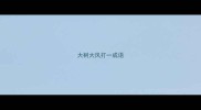 大树大风打一成语
